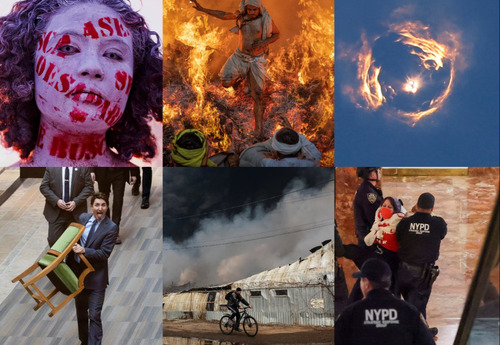 Фото: Гуравдугаар сар Ройтерсийн дуранд